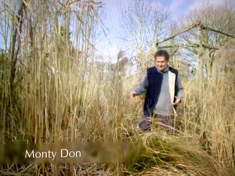 Monty Don grass border