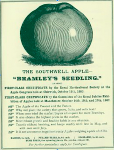 Advertisement for Bramleys Apple 