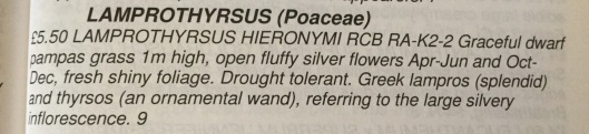 Catalogue description of this grass (CFG, Bob Brown). 